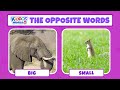 Learn the opposites words in english using comparisons