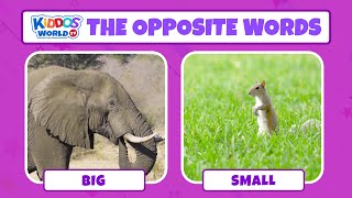 Learn The Opposites Words in English using Video Comparisons