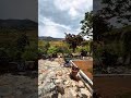 #nature 🌿🍃#trending 🔥🔥