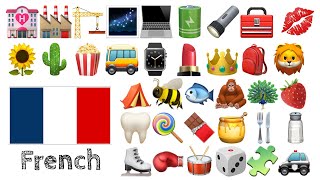 Learn 400 words in French with Emoji - 🌻🌵🍿🚌⌚️💄👑🎒🦁🌹🥕⚽🧸🎁