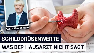 Schilddrüsenwerte, was der Hausarzt NICHT sagt  Interview mit Prof. Dr. Wienecke