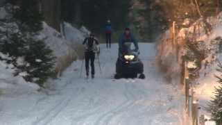 Frivillige trækker skispor i Gribskov