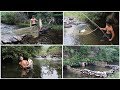 Primitive Survival : Fish Traps And Cooking Fish On a Rock - Eating Delicious