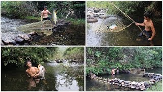 Primitive Survival : Fish Traps And Cooking Fish On a Rock - Eating Delicious