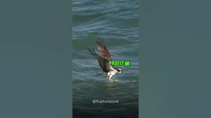 "Profit or Loss… A True Trader Never Gives Up 💹🔥 | Mindset is Everything 💪" #trending #inspiration