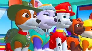 PAW PATROL Mighty Pups Save Adventure Bay Gameplay Walkthrough | All Jungle Treasures