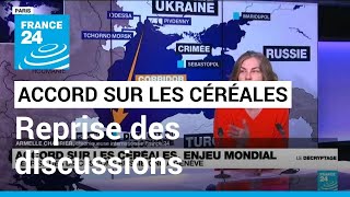 Accord sur les céréales en mer Noire : reprise des discussions Russie-ONU • FRANCE 24