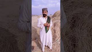 VID 20210303 WA0010
