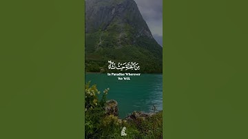 🎙️| #شريف_مصطفي 📖| #سورة_الزمر •—#قران #quran #quranms0_0
