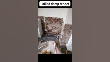 Failed damp in render