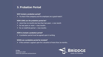 Chapter 3: Probationary period by Briddge Legal & Finance