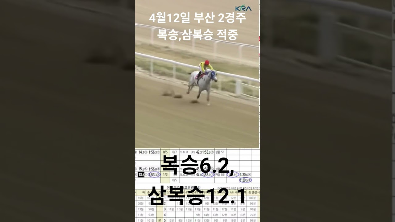 4월 12일 일요일 부산 2경주 복승 삼복승 적중