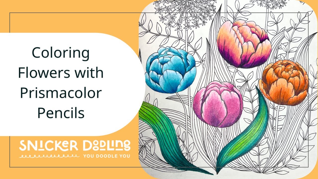 My Top 5 Color Combos for coloring flowers with Prismacolor Premier Pencils ✏️ ✨💖