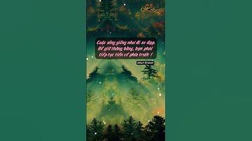 Bài Học Cuộc Sống Số 77 Cuộc Đời Giống Như Chiếc Xe Đạp