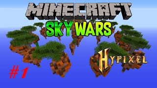 I am a GOD in Skywars - Minecraft Skywars Hypixel #1