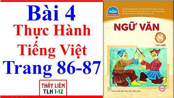 Ngữ Văn 8 Bài 4 | Thực Hành Tiếng Việt | Trang 86 – 87 | Chân Trời Sáng Tạo
