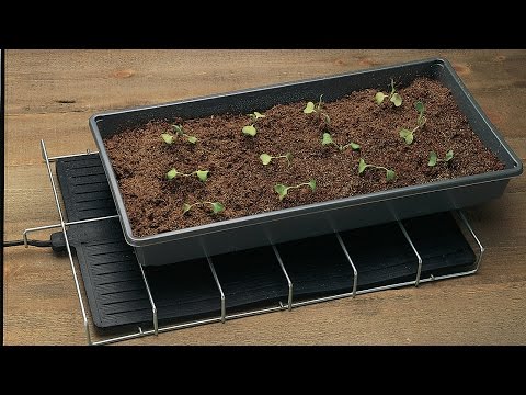 Seed Starting Part 3