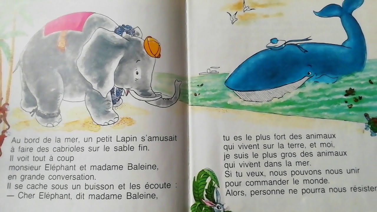 Le petit lapin, la baleine et l'éléphant - YouTube