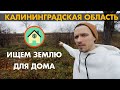 Ищем землю для будущего дома в Калининграде / Цены на земли в области