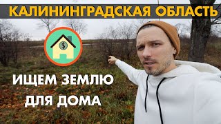 Ищем землю для будущего дома в Калининграде / Цены на земли в области