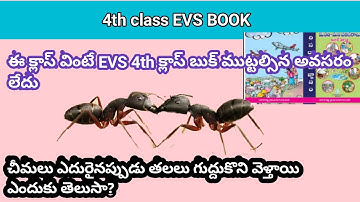4th class evs || TM || Telangana || #4thclassevs #pavaneducations