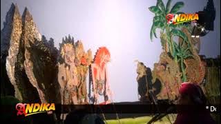 Sedekah Bumi Buyut Sukaraja.Ds.Puntang Wayang Kulit Langen Budaya