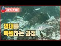 동해 앞바다에서 사라진 명태를 복원하는 과정 / YTN 사이언스