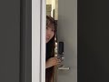 らんちゃんが大好きな理由が、この動画に全部映ってる。#shorts