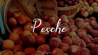 Pesche — Federico Rossi [Testo/Lyrics]
