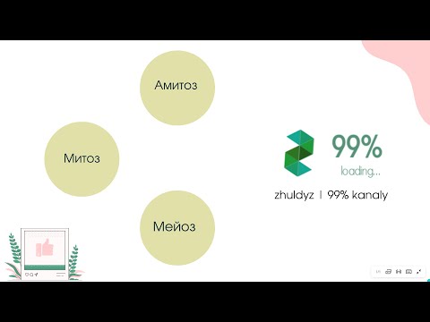 Бейне: Жеңілдетілген мейоз дегеніміз не?