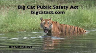Animal Rights Awareness Week