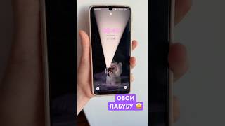 ЛАБУБУ ЖИВЫЕ ОБОИ 🤩 LABUBU #labubu #лабубу #тренды #топ #kamilalife #рек #top #trend #живыеобои