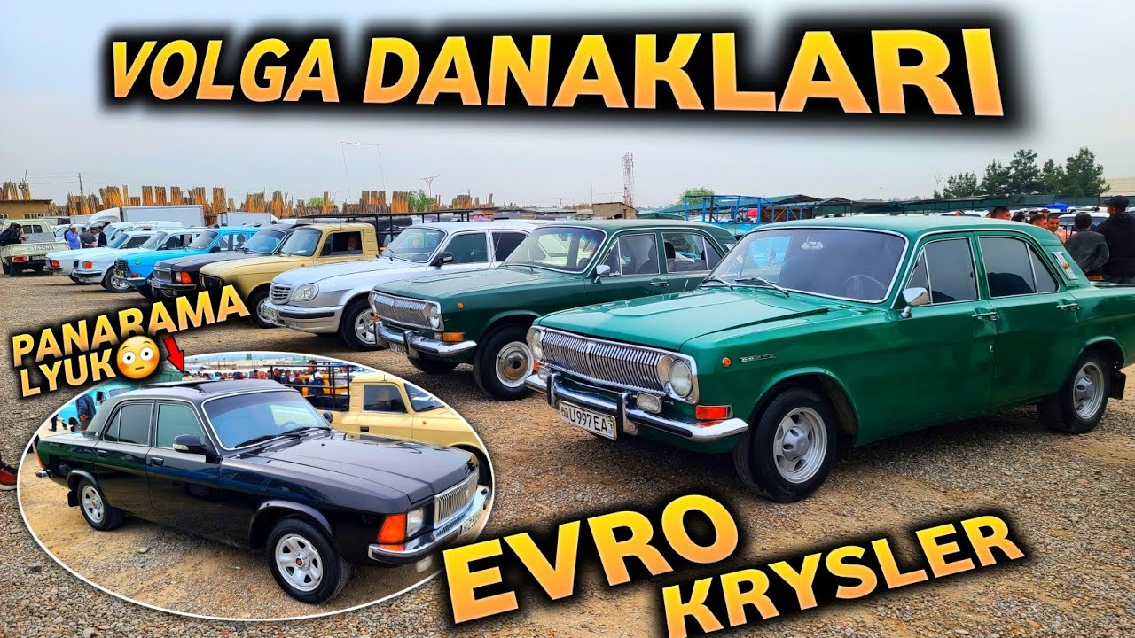 АКУЛАМИ ЁКИ ИНОМАРКА!? ВОЛГАЛАР ДАНАГЛАРИ 👍АВЖИДА АНА ЭНДИ КЎРИНГ!