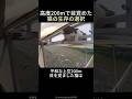 高度200mで目覚めた猫の生存の選択