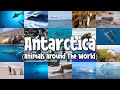 Antarctica | Animals Around the World | Wild Animals