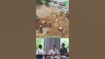 Khu vườn Kyoumu-tei – Hành trình đưa tinh thần Nhật Bản lan tỏa trong sân vườn Việt