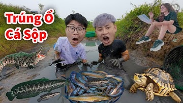 Hậu Cáo - Tát Cạn Ao Hoang Bắt Được Đàn Cá Sộp Cụ || Hậu Cáo Sinh Tồn