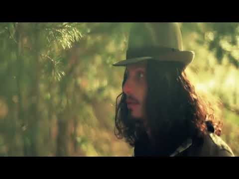 Willie Nelson  - The Scientist (Unofficial Video)