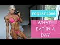 FULL DAY OF EATING / WHAT I EAT IN A DAY / SHRED MODE