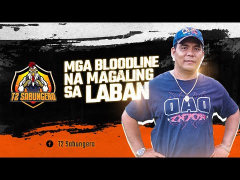 Video: Ang mga round log ay isang mahusay na materyales sa pagtatayo