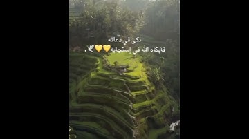 فاستجبنا له ونجيناه من الغم تلاوة القارئ اسلام صبحي