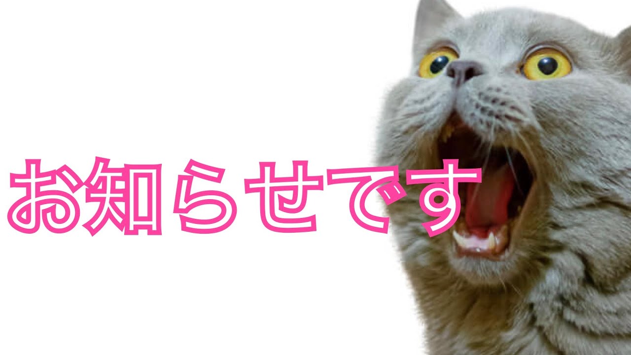 おれねこ 画像: おれねこ うた _ matcha__ore_pさんのイラストまとめ 5ページ目 – GQZXZ