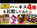 【バディベルト・ユリウスK9・トレポンティ・カーリー】犬用ハーネス人気の４種を一気に解説＆どんな人におすすめ？