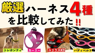 【バディベルト・ユリウスK9・トレポンティ・カーリー】犬用ハーネス人気の４種を一気に解説＆どんな人におすすめ？