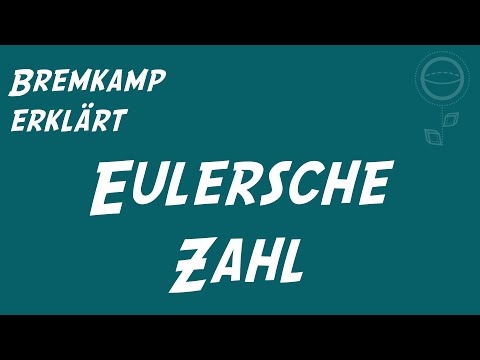 Die Eulersche Zahl: Wie Kommt Man Drauf