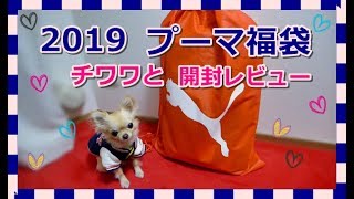 2019プーマ福袋