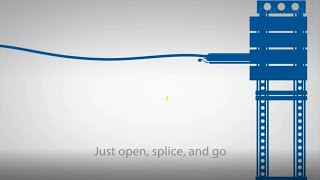 Pigtailed Splice Cassettes | Carroll International