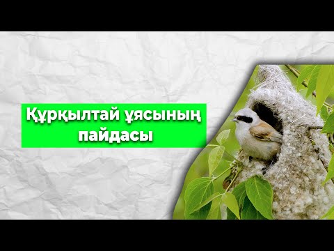 Смотреть онлайн: Жыныстық қатынас кезінде орысша балағат сөздер айту Оның қатысуымен Foxy Di порно видео