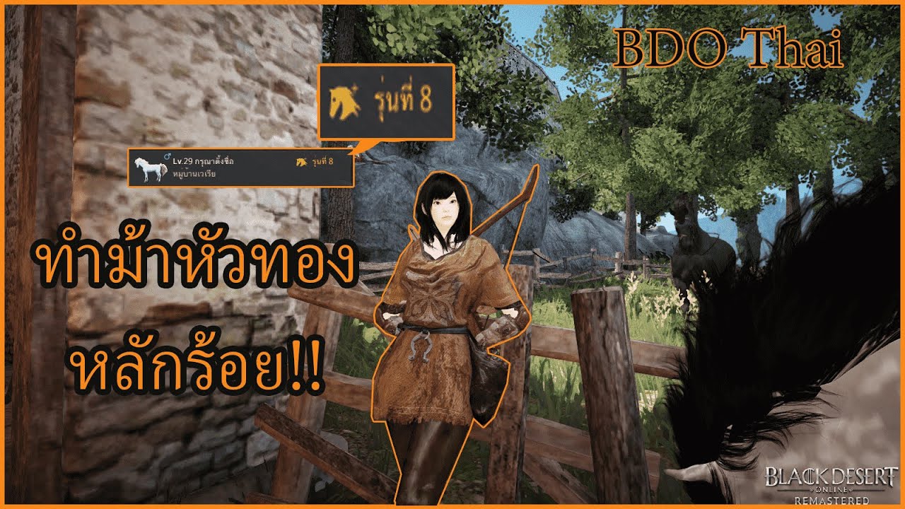 bdo สกิลม้า  Update New  Black Desert Online Thai - วิธีรีสกิลม้าแบบประหยัดแค่หลักร้อย [BDO Thai By XSHOTz Channel]