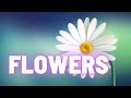 Flowers - Donna Lewis - I Love You Always Forever - Slide MV